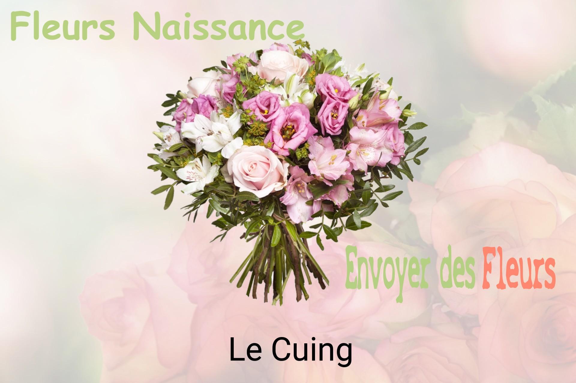 Bouquet de fleurs de naissance livré à Le Cuing